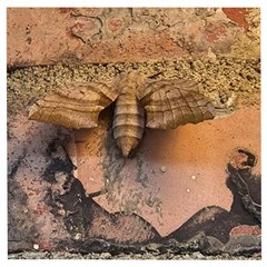 Night Moth Wooden Puzzle Square