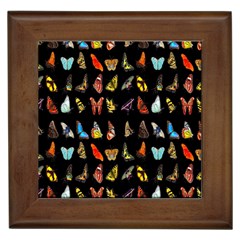 Butterfly Framed Tile by ArtworkByPatrick