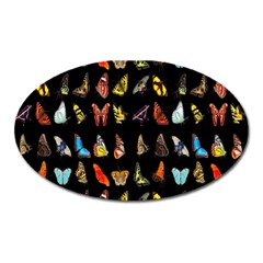 Butterfly Oval Magnet by ArtworkByPatrick