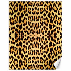 Leopard Skin Canvas 12  X 16 