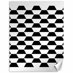 Hexagons Pattern Tessellation Canvas 12  X 16  by Mariart