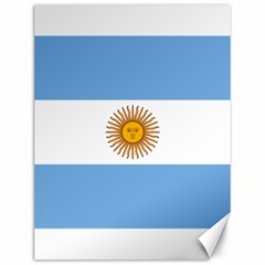 Argentina Flag Canvas 12  X 16  by FlagGallery