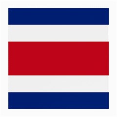 Costa Rica Flag Medium Glasses Cloth by FlagGallery