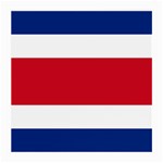 Costa Rica Flag Medium Glasses Cloth Front