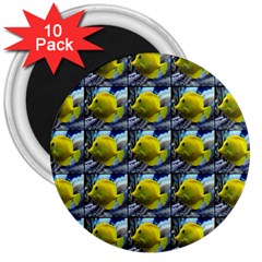 Fish 3  Magnets (10 Pack)  by ArtworkByPatrick