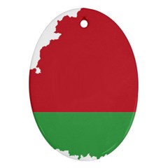 Belarus Country Europe Flag Ornament (oval) by Sapixe