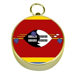 Swaziland Flag Map Geography Gold Compasses