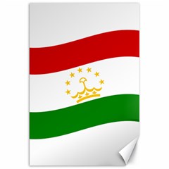 Flag Iran Tajikistan Afghanistan Canvas 20  X 30  by Sapixe