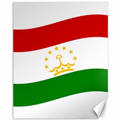 Flag Iran Tajikistan Afghanistan Canvas 11  X 14  by Sapixe