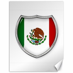 Flag Mexico Country National Canvas 18  X 24  by Sapixe