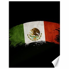 Flag Mexico Country National Canvas 18  X 24  by Sapixe