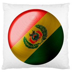 Bolivia Flag Country National Standard Flano Cushion Case (one Side) by Sapixe