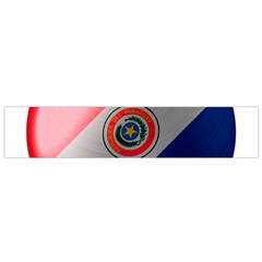 Paraguay Flag Country Nation Small Flano Scarf