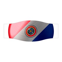 Paraguay Flag Country Nation Stretchable Headband by Sapixe