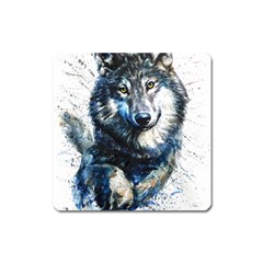 Gray Wolf - Forest King Square Magnet