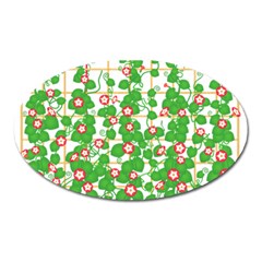 Flowering Vine Vine Ivy Flowers Oval Magnet by Pakrebo