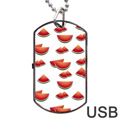 Summer Watermelon Pattern Dog Tag Usb Flash (two Sides) by Pakrebo