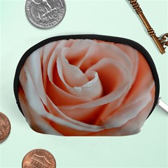 Soft Pink Rose Close Up Accessory Pouch (medium) by bloomingvinedesign