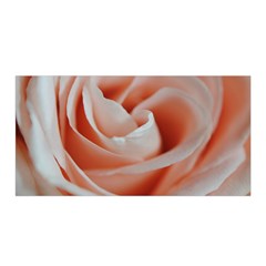 Soft Pink Rose Close Up Satin Wrap by bloomingvinedesign