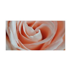 Soft Pink Rose Close Up Yoga Headband by bloomingvinedesign