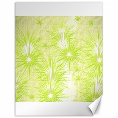 Background Green Star Canvas 12  X 16 