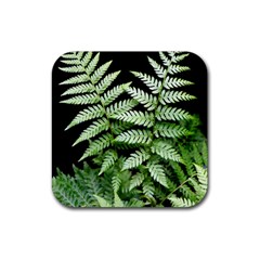 Fern Plant Leaf Green Botany Rubber Coaster (square)  by Pakrebo