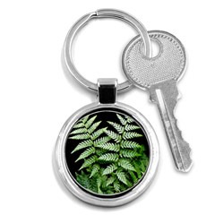 Fern Plant Leaf Green Botany Key Chain (round) by Pakrebo