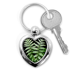 Fern Plant Leaf Green Botany Key Chain (heart) by Pakrebo