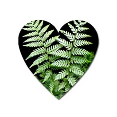 Fern Plant Leaf Green Botany Heart Magnet by Pakrebo