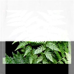 Fern Plant Leaf Green Botany Rectangular Jigsaw Puzzl by Pakrebo