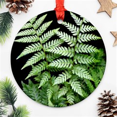 Fern Plant Leaf Green Botany Round Ornament (two Sides) by Pakrebo