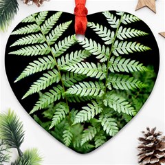 Fern Plant Leaf Green Botany Heart Ornament (two Sides) by Pakrebo