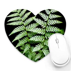 Fern Plant Leaf Green Botany Heart Mousepads by Pakrebo