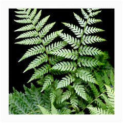 Fern Plant Leaf Green Botany Medium Glasses Cloth (2 Sides) by Pakrebo