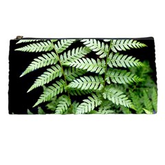 Fern Plant Leaf Green Botany Pencil Cases by Pakrebo