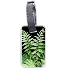 Fern Plant Leaf Green Botany Luggage Tag (one Side)