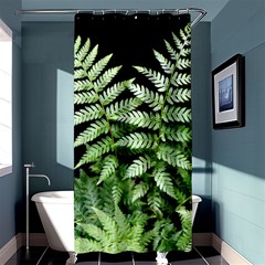 Fern Plant Leaf Green Botany Shower Curtain 36  X 72  (stall)  by Pakrebo