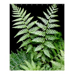 Fern Plant Leaf Green Botany Shower Curtain 60  X 72  (medium)  by Pakrebo