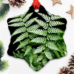 Fern Plant Leaf Green Botany Ornament (snowflake) by Pakrebo