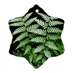 Fern Plant Leaf Green Botany Snowflake Ornament (two Sides) by Pakrebo