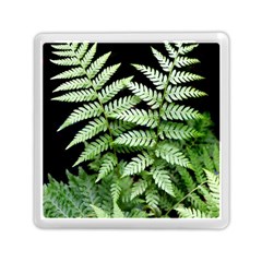 Fern Plant Leaf Green Botany Memory Card Reader (square) by Pakrebo