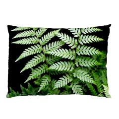 Fern Plant Leaf Green Botany Pillow Case (two Sides) by Pakrebo