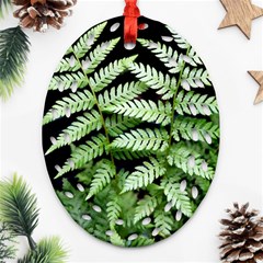 Fern Plant Leaf Green Botany Ornament (oval Filigree) by Pakrebo