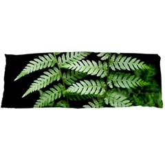 Fern Plant Leaf Green Botany Body Pillow Case Dakimakura (two Sides) by Pakrebo