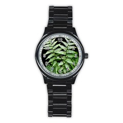 Fern Plant Leaf Green Botany Stainless Steel Round Watch by Pakrebo