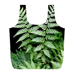 Fern Plant Leaf Green Botany Full Print Recycle Bag (l) by Pakrebo