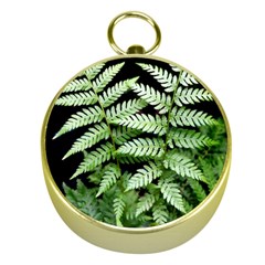 Fern Plant Leaf Green Botany Gold Compasses by Pakrebo