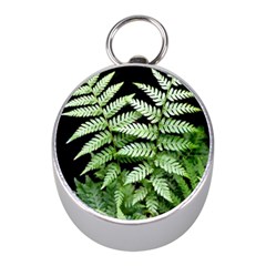 Fern Plant Leaf Green Botany Mini Silver Compasses by Pakrebo