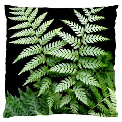 Fern Plant Leaf Green Botany Large Flano Cushion Case (one Side) by Pakrebo