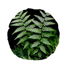 Fern Plant Leaf Green Botany Standard 15  Premium Flano Round Cushions by Pakrebo